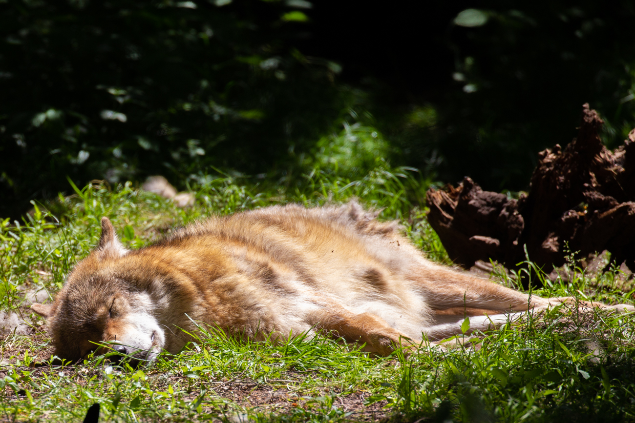 ... kaum aktiv und suchen die Ruhe