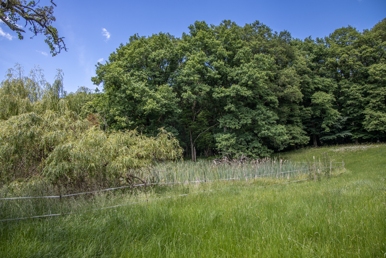 An einer Lösungsdoline