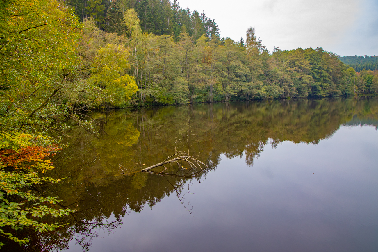 Am Hundscheider Weiher