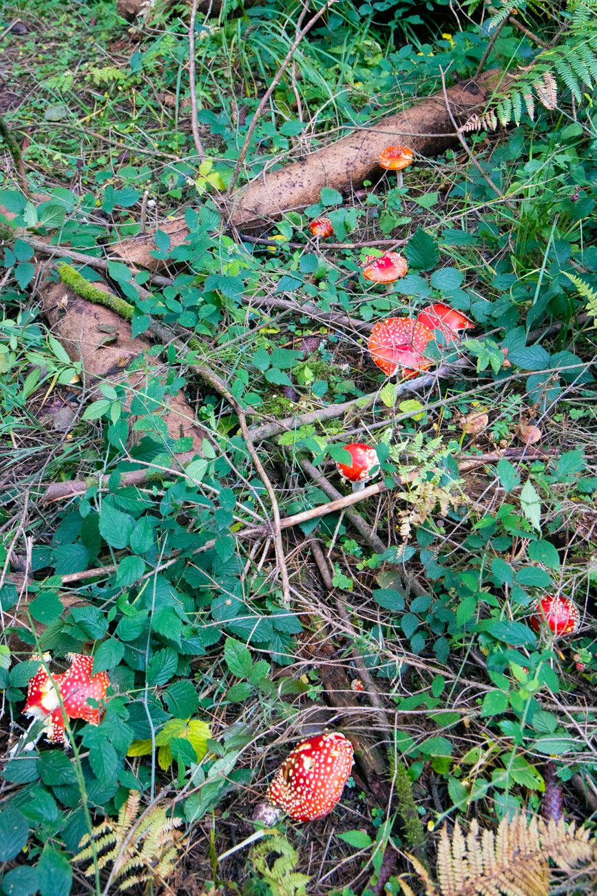 ... und hier gleich eine ganze Familie