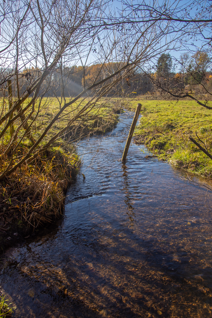 Der Lannenbach