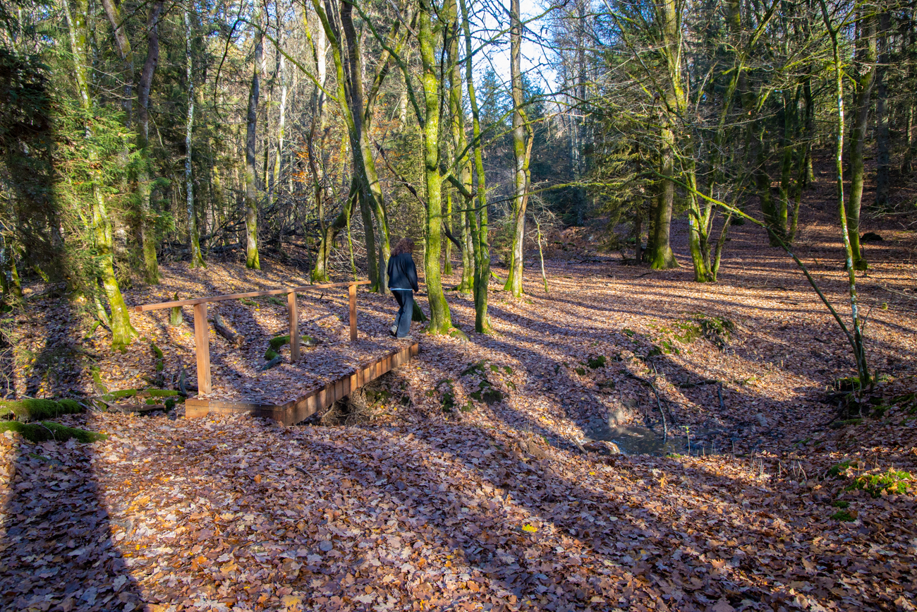 Brückchen über einen fast trockenen Bach