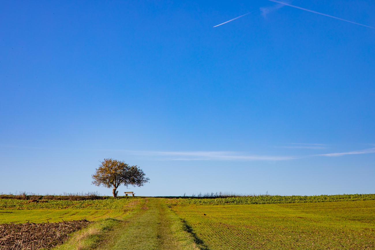 Bank mit Aussicht ...