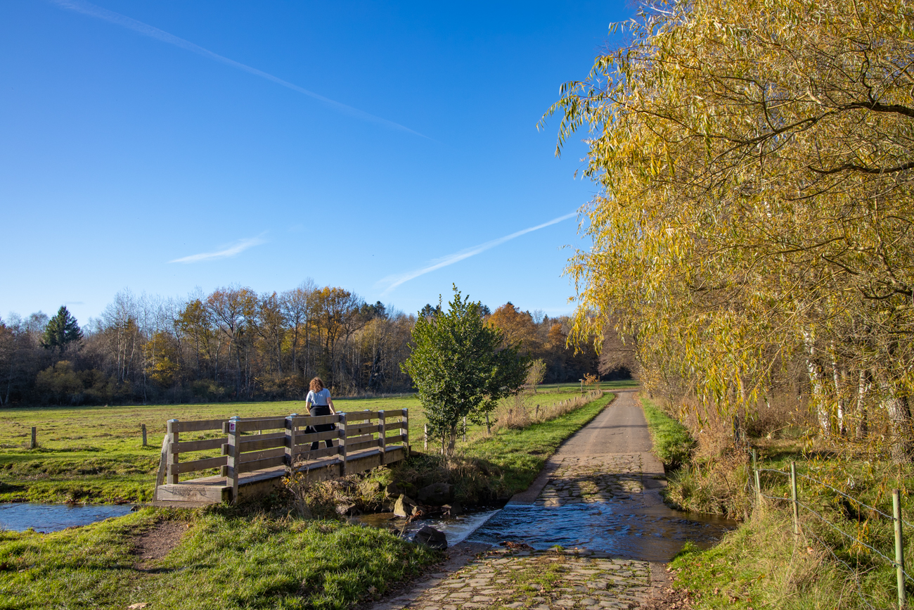 Dank der Brücke kommt man mit trockenen Füßen über den Hölzbach