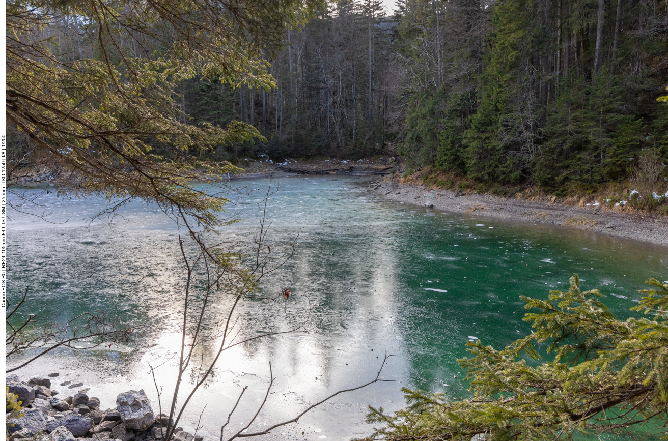 Der Steinkring ist eine Bucht des Eibsees