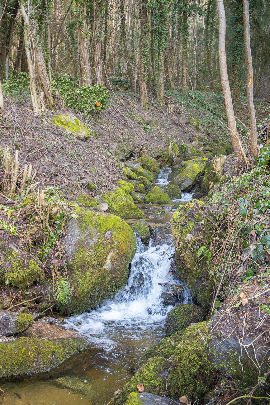Die Tour startet an den Brandbachwasserfällen