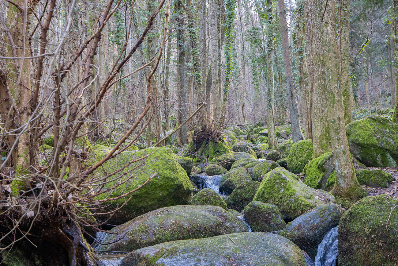 Da uns hier zuviele Leute unterwegs sind (Corona-Abstand) ... 