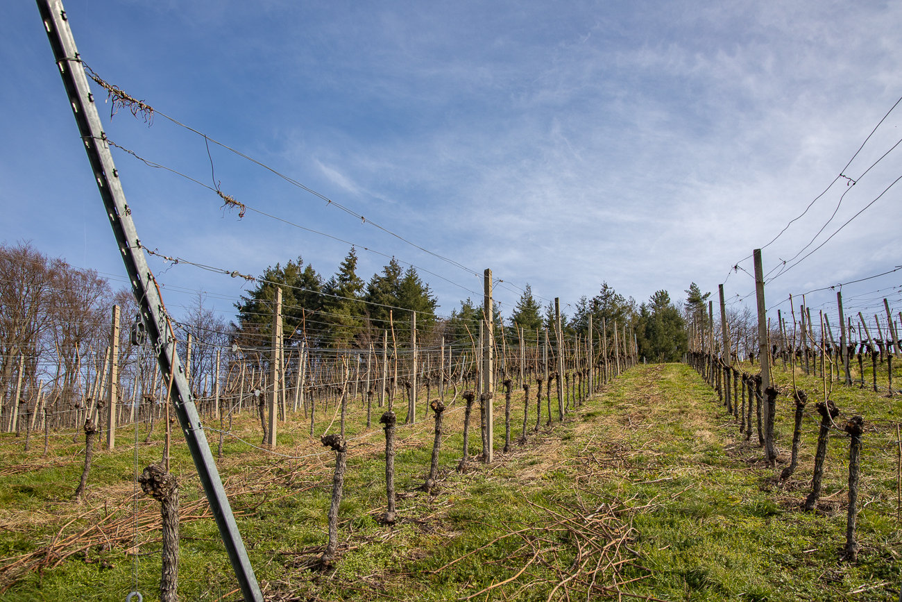 ... hier ist die Arbeit schon vollbracht