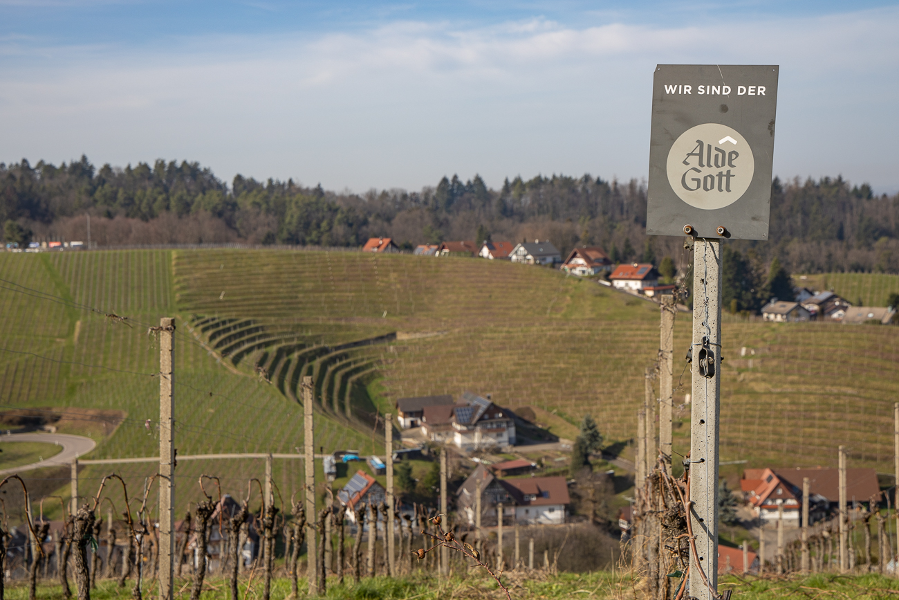 Hier wird der "Alde Gott" angebaut