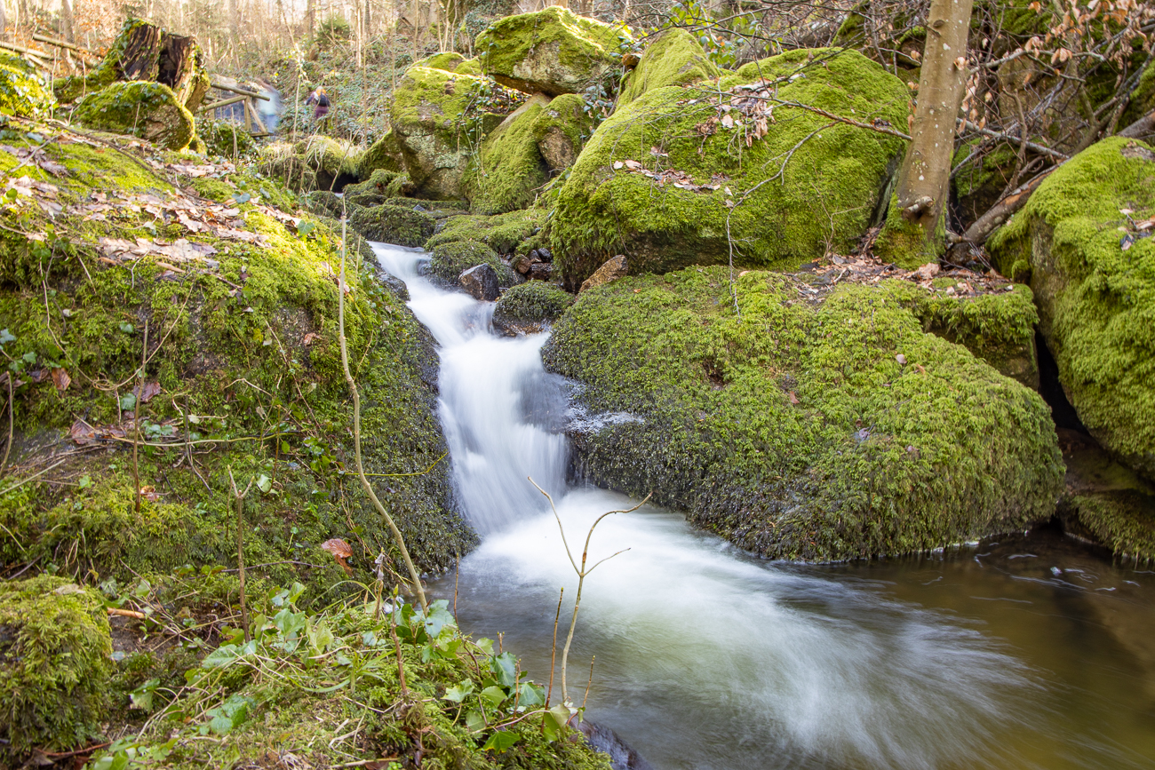 Der Brandbach ergießt sich ... 