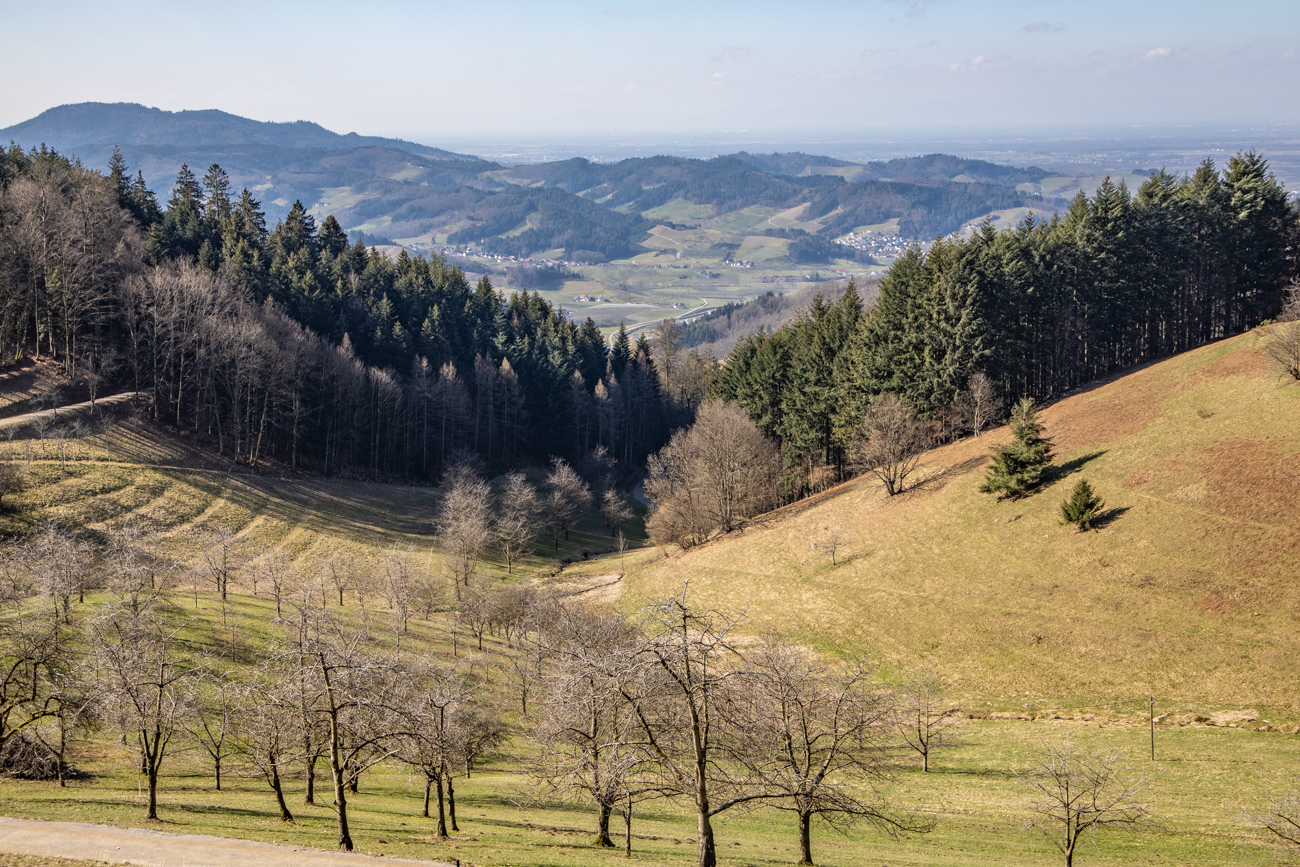 Blick ins Tal am Haus Wandersruh