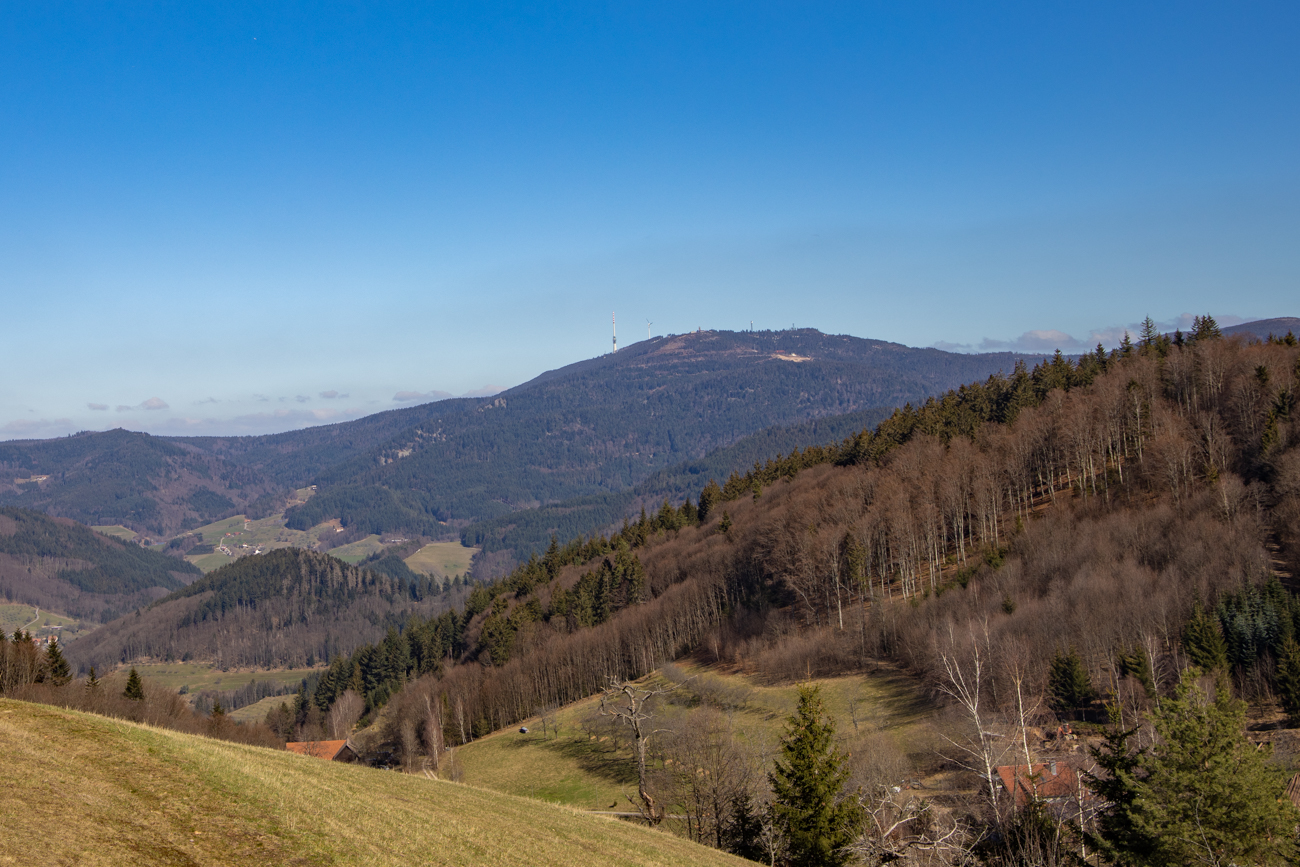 Blick auf die Hornisgrinde I