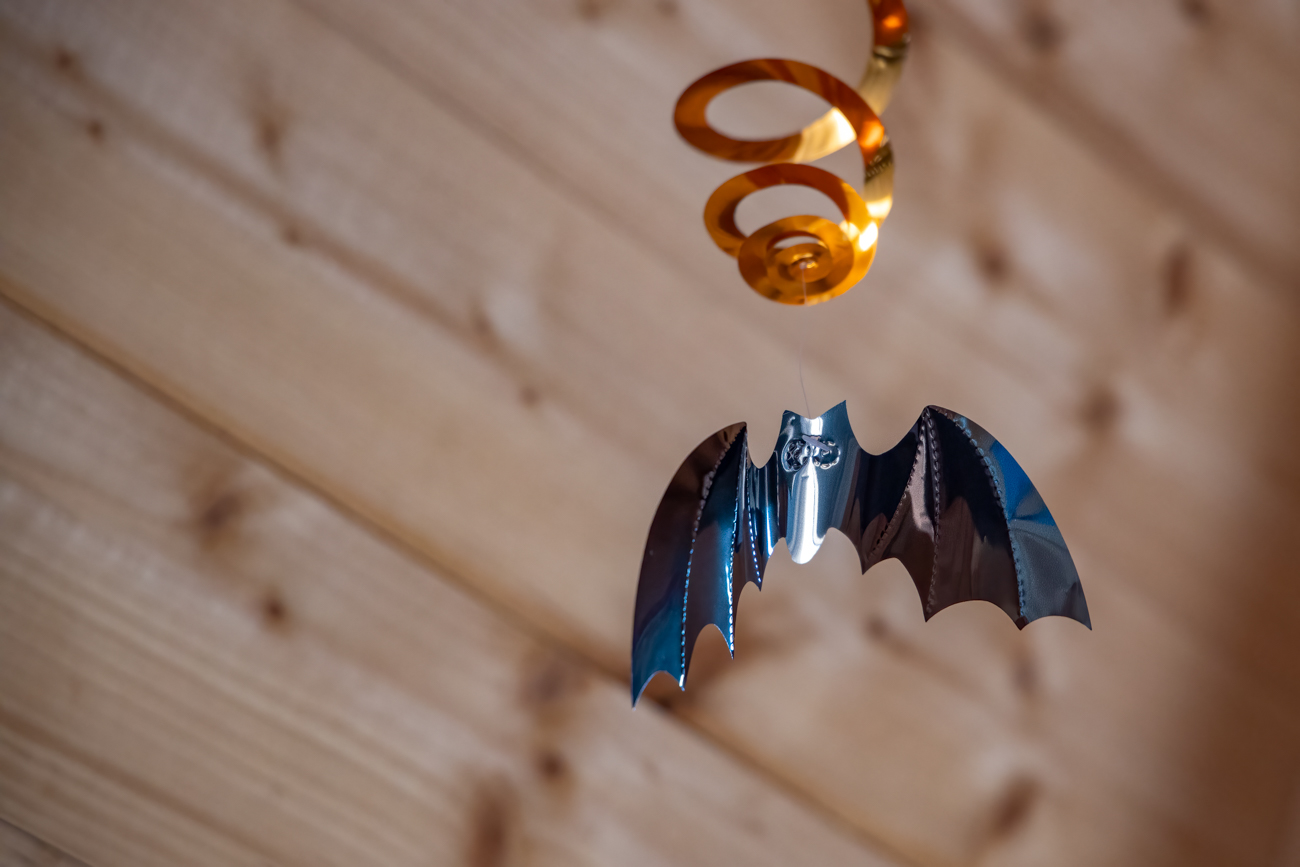 Auch an Fledermäusen mangelt es nicht