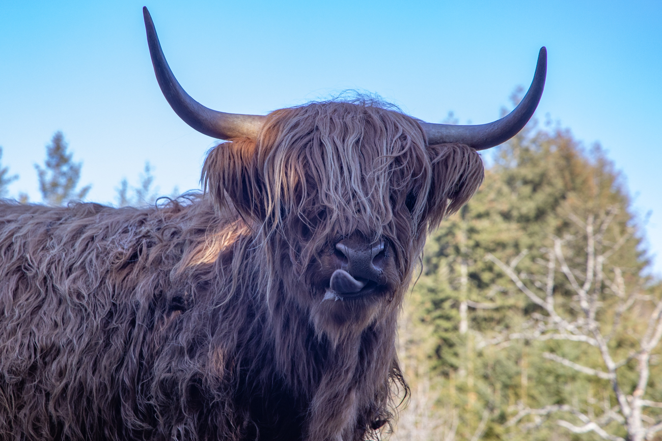 Mist, die Friseure machen erst am 01.03. auf und sind bereits ausgebucht ;-)