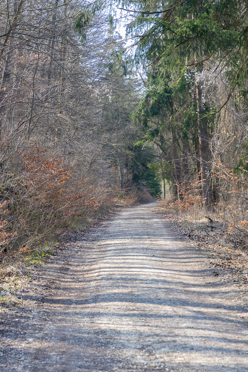 Nach dem Start in Blaubeuren geht es erstmal den Berg hinauf
