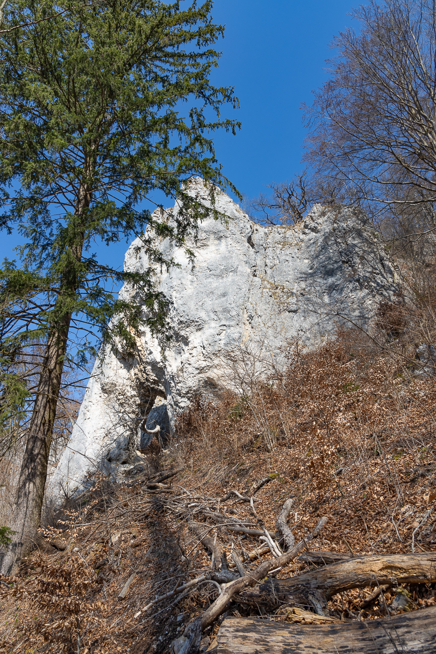 Felsen am Rande des Aachtals