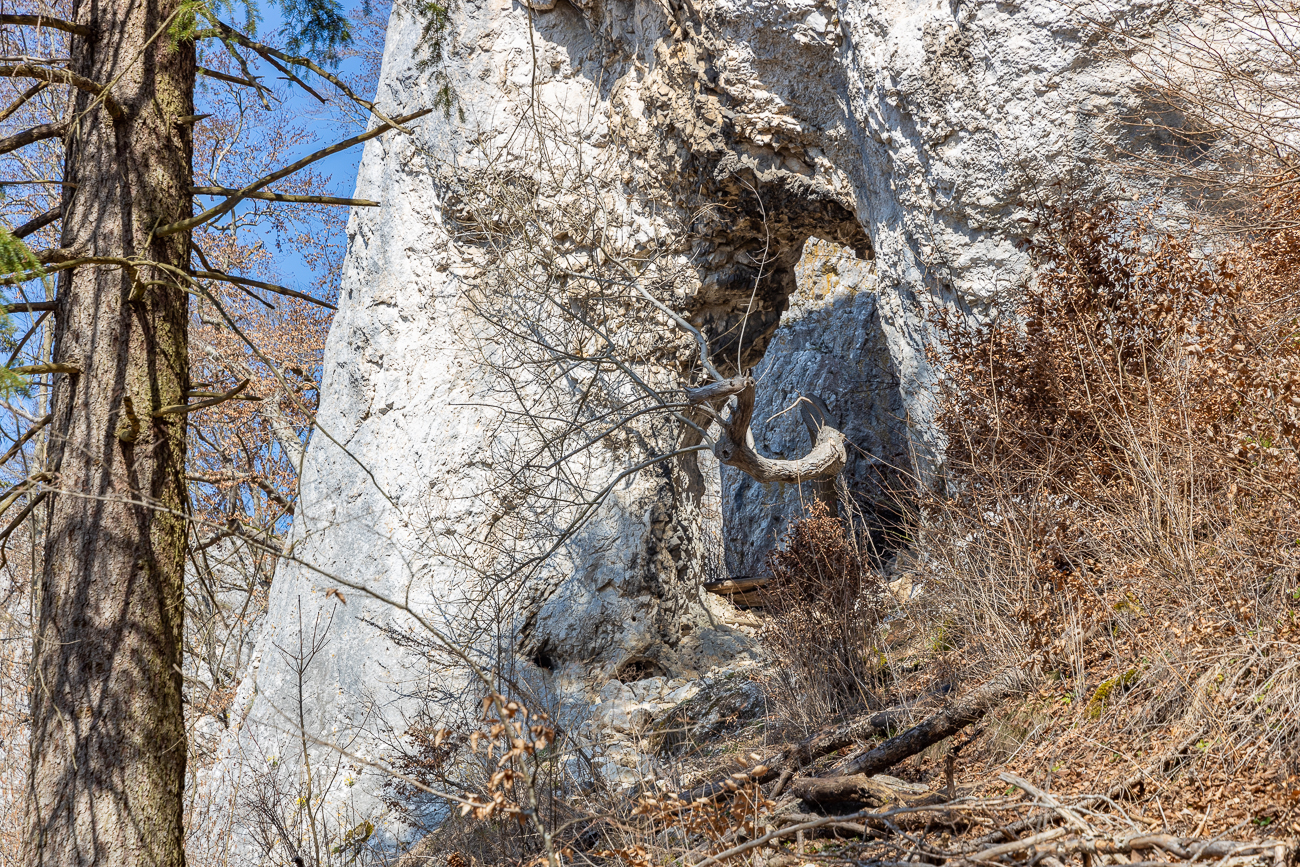Durch den Fels wächst ein Baum ;-)