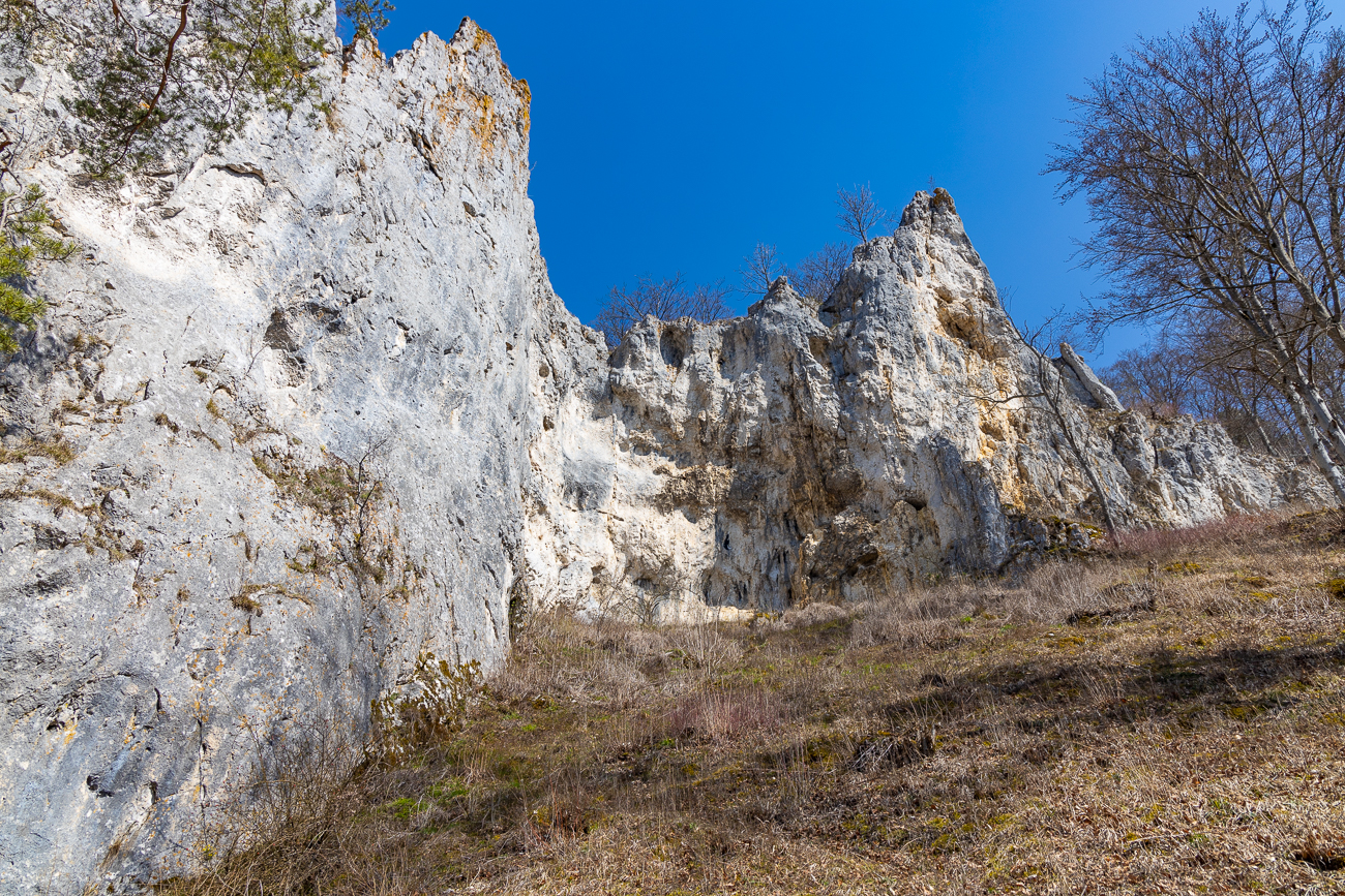 Felsen am Geißenklösterle