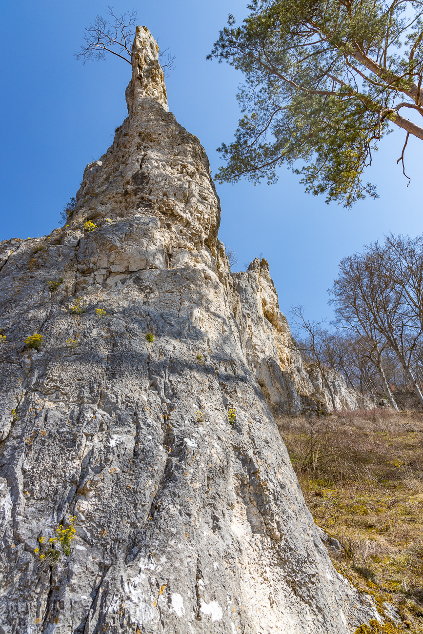 Felsen am Geißenklösterle