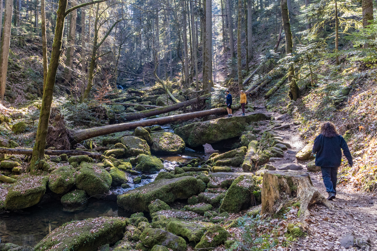 Aus der Werbung: "Das wildromantische Monbachtal"