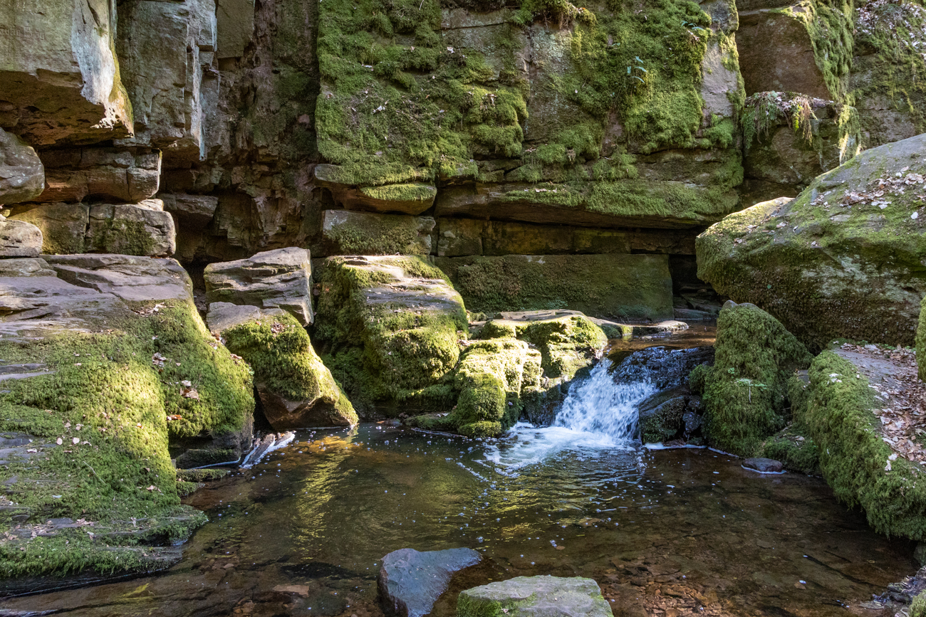 Der Monbach schlängelt sich durch die Felsen