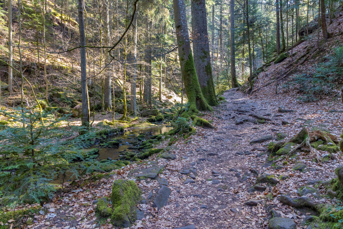 Pfad entlang des Baches