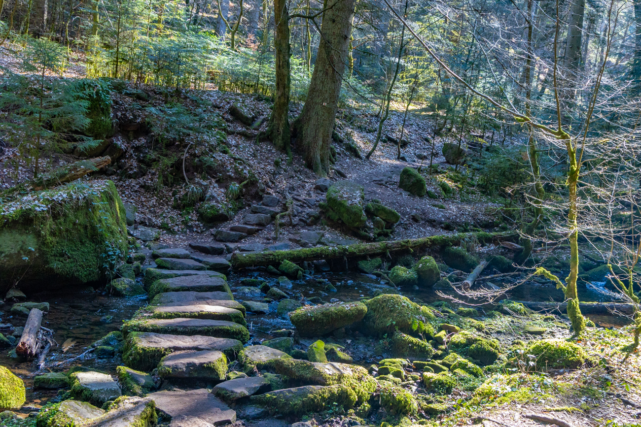 Steinerne "Brücke" über den Monbach