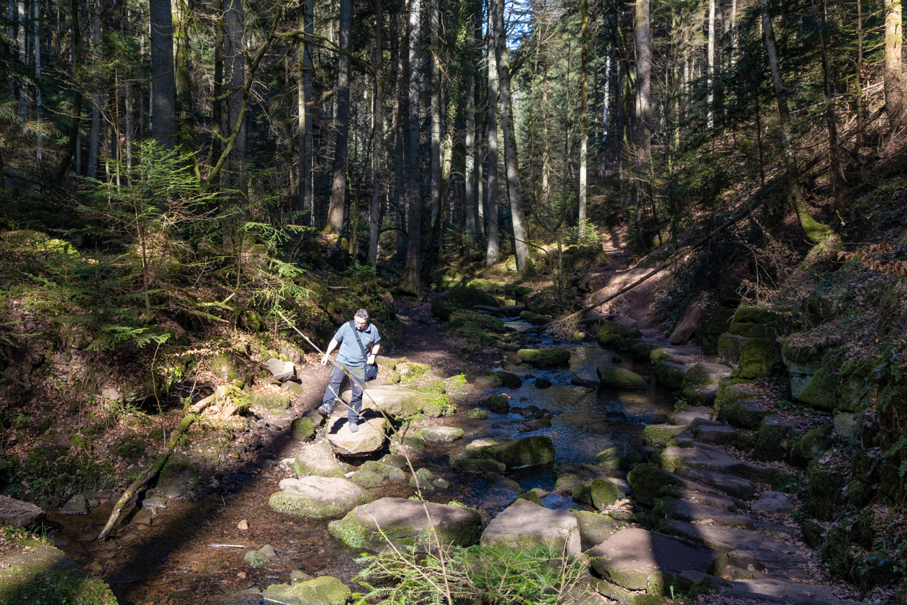 Nur nicht reinfallen