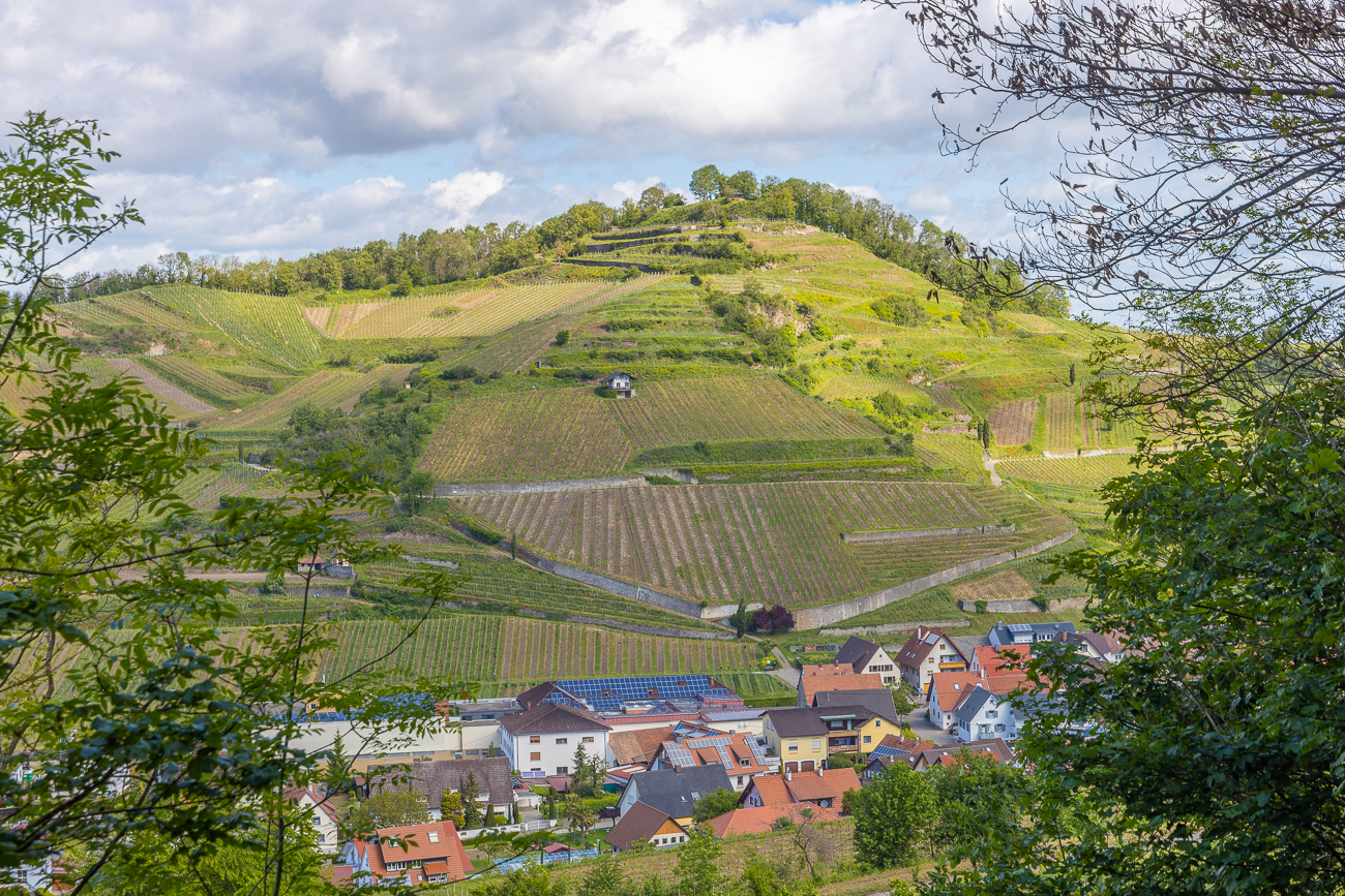 Kaiserstuhl-Landschaft