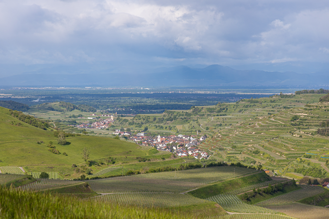 Blick ins Rheintal