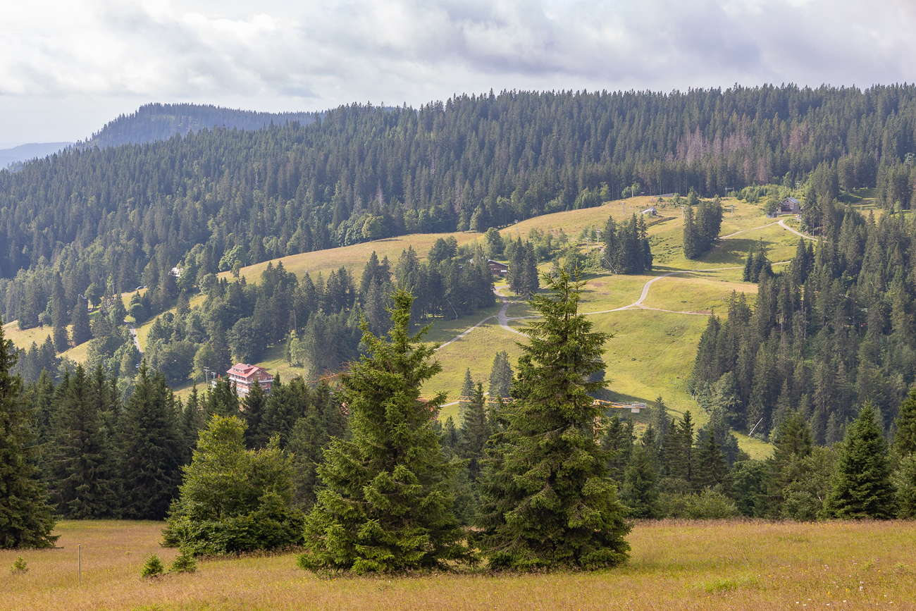 Ausblick auf die umgebenden Hügel