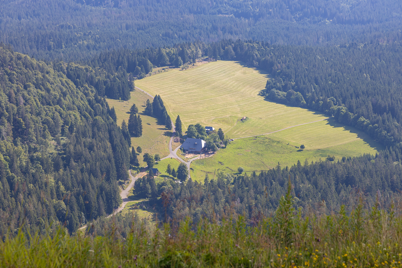 Typischer Schwarzwaldhof