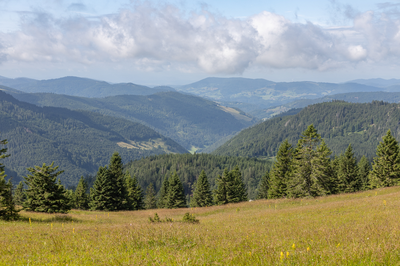 Wieder ein Blick in die Umgebung