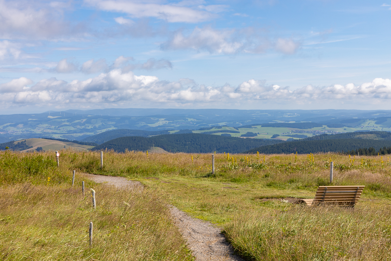 Ruhebank mit Ausblick