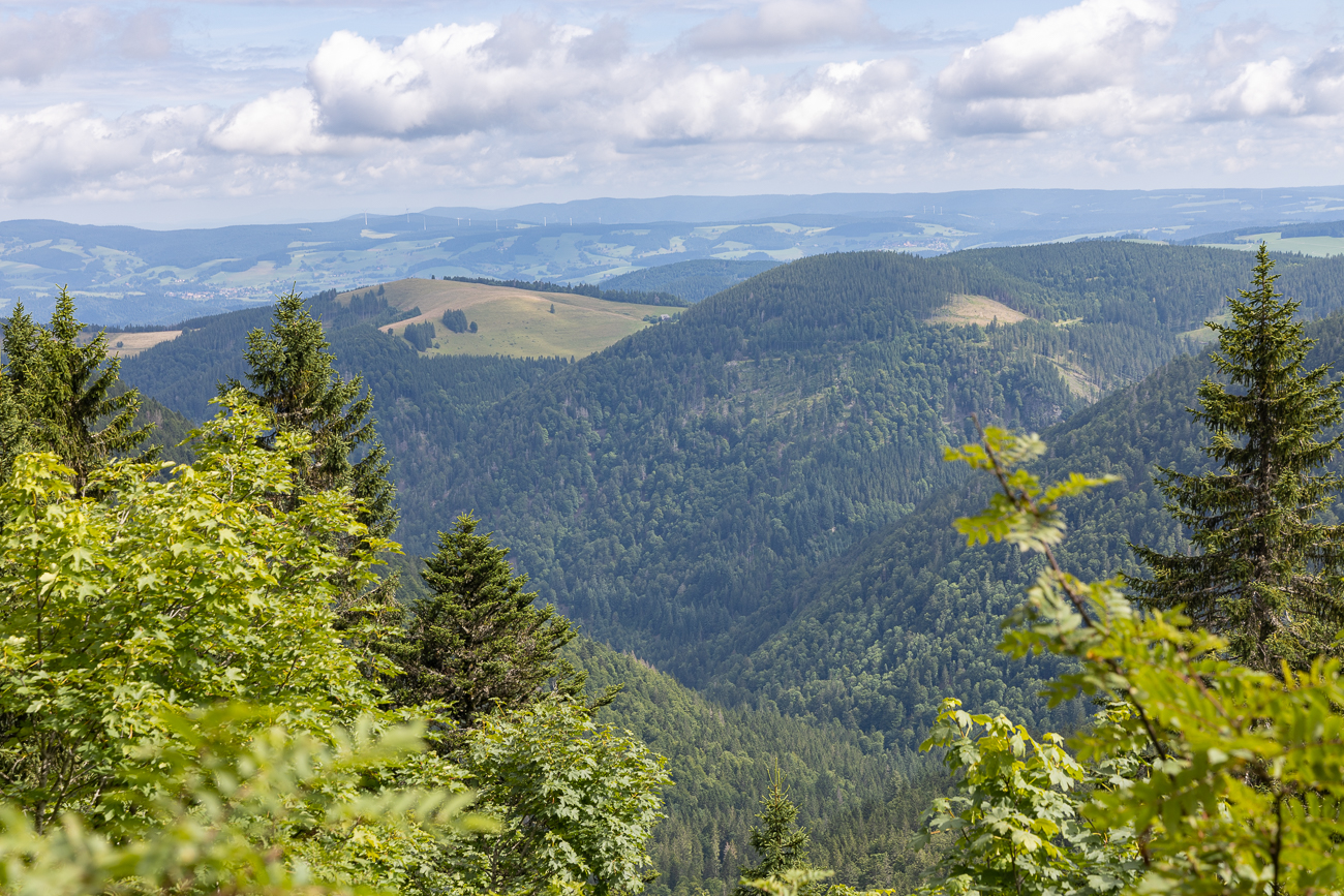 Schwarzwaldhügel