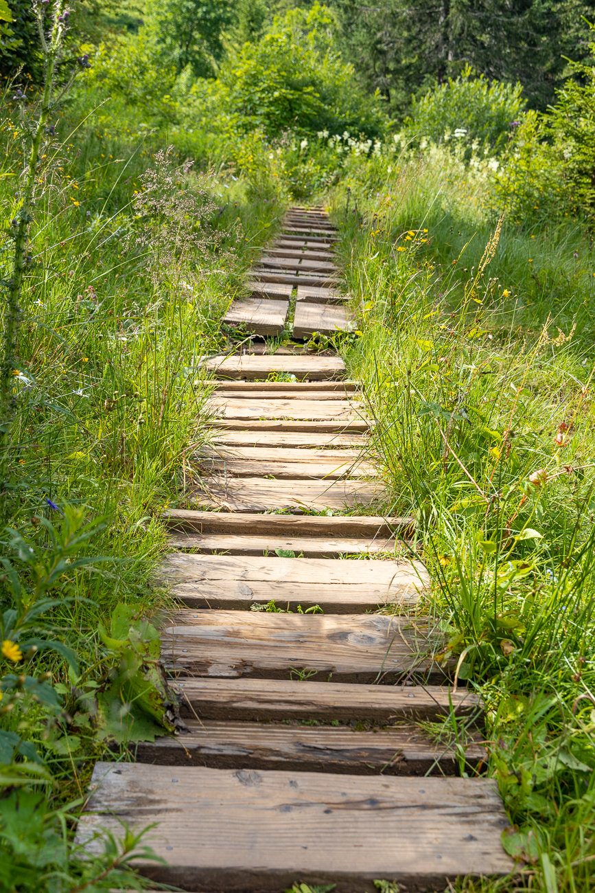 ... und bewahren uns vor nassen Füßen