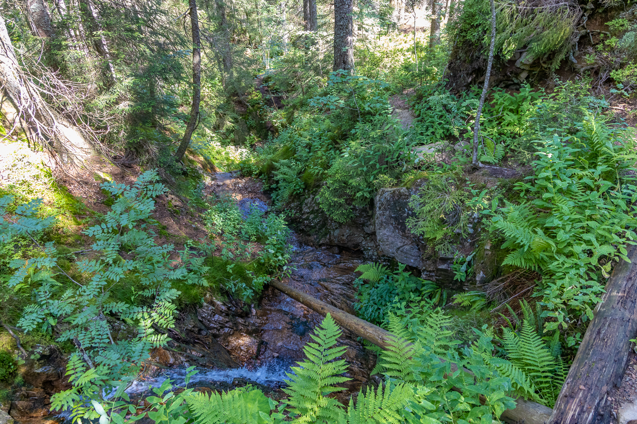 Schmaler Pfad am Bachufer