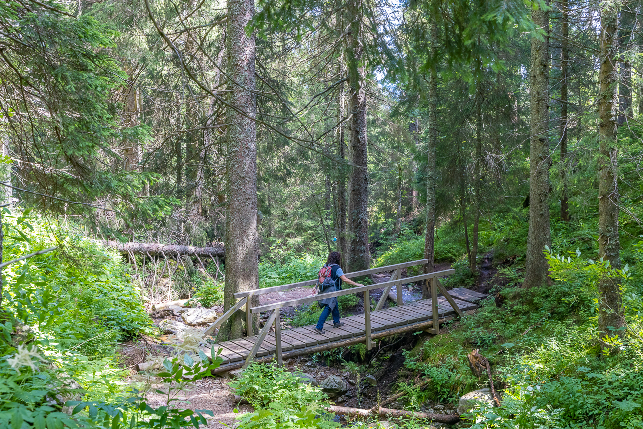 Bachüberquerung ganz bequem