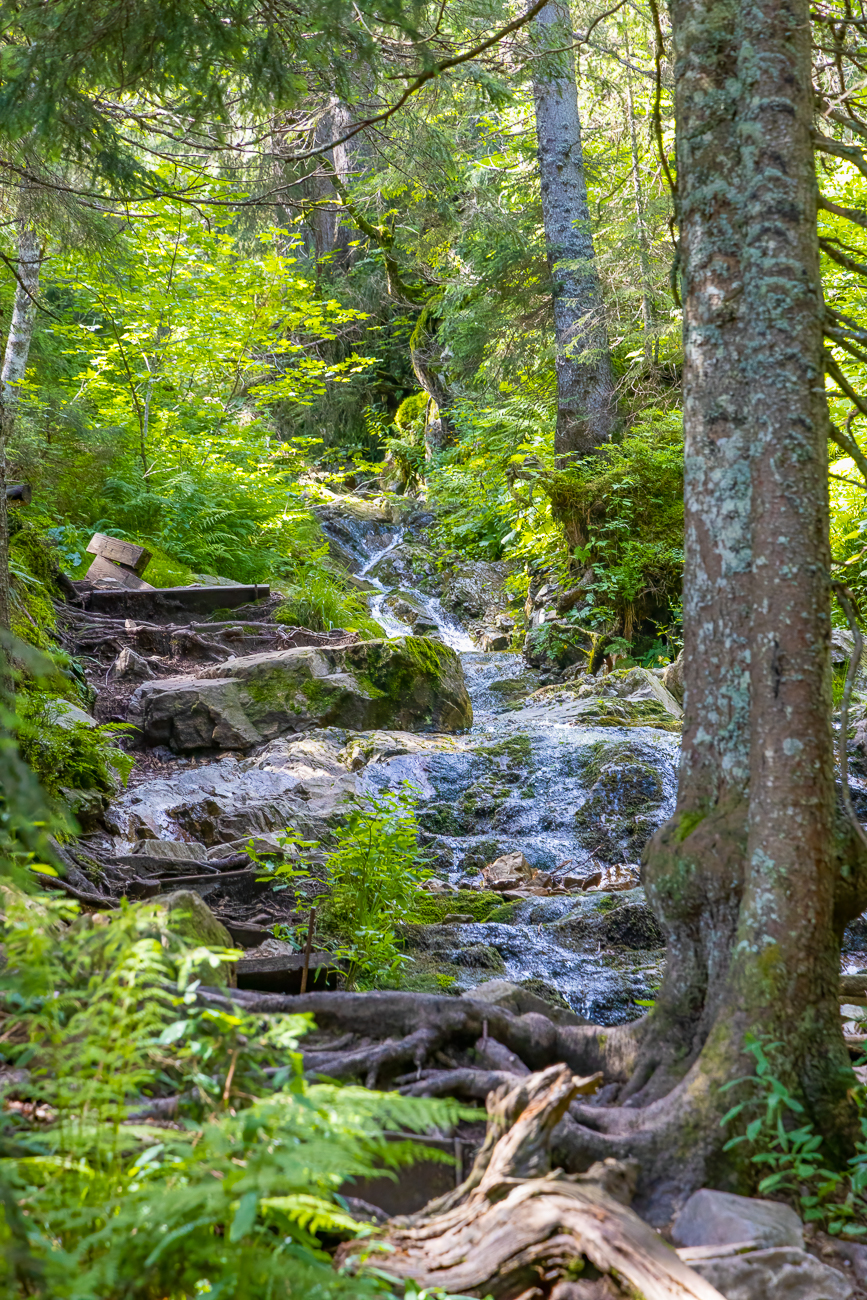 Der überquerte Bach