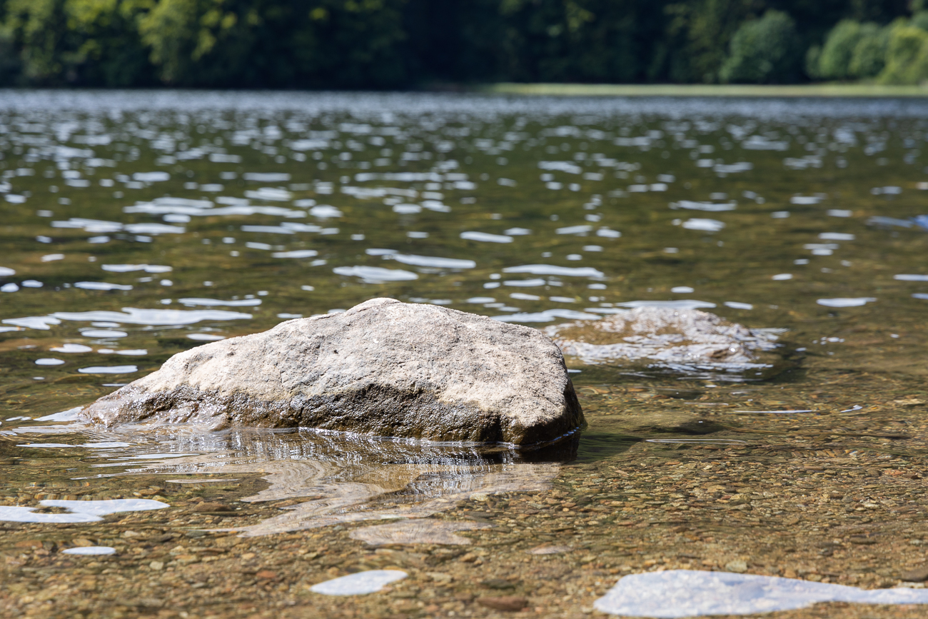 Der Feldsee ist der höchstgelegene See in Deutschland außerhalb der Alpen