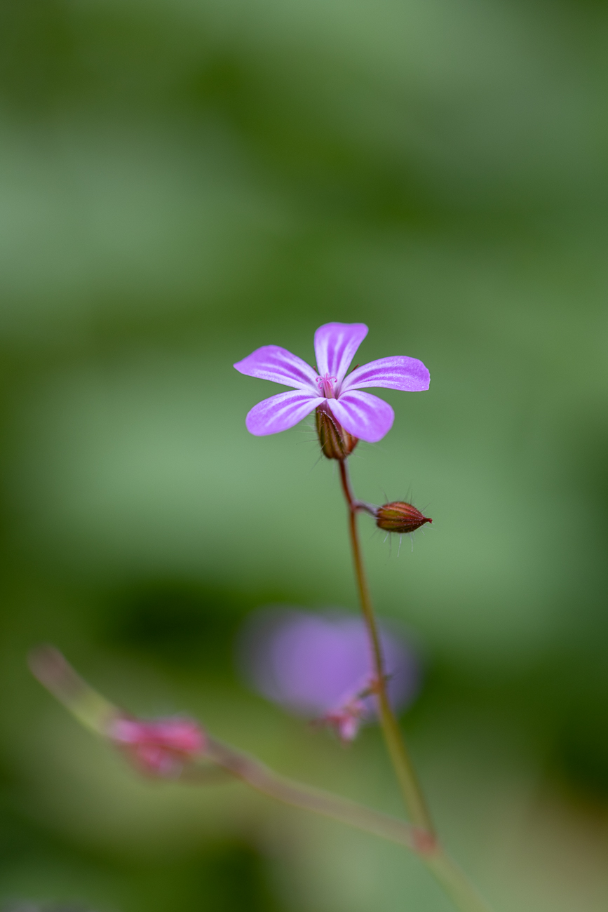 Ausblick auf die umgebenden Hügel