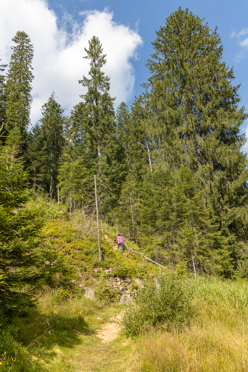 ... und es geht steil den Berg hinauf