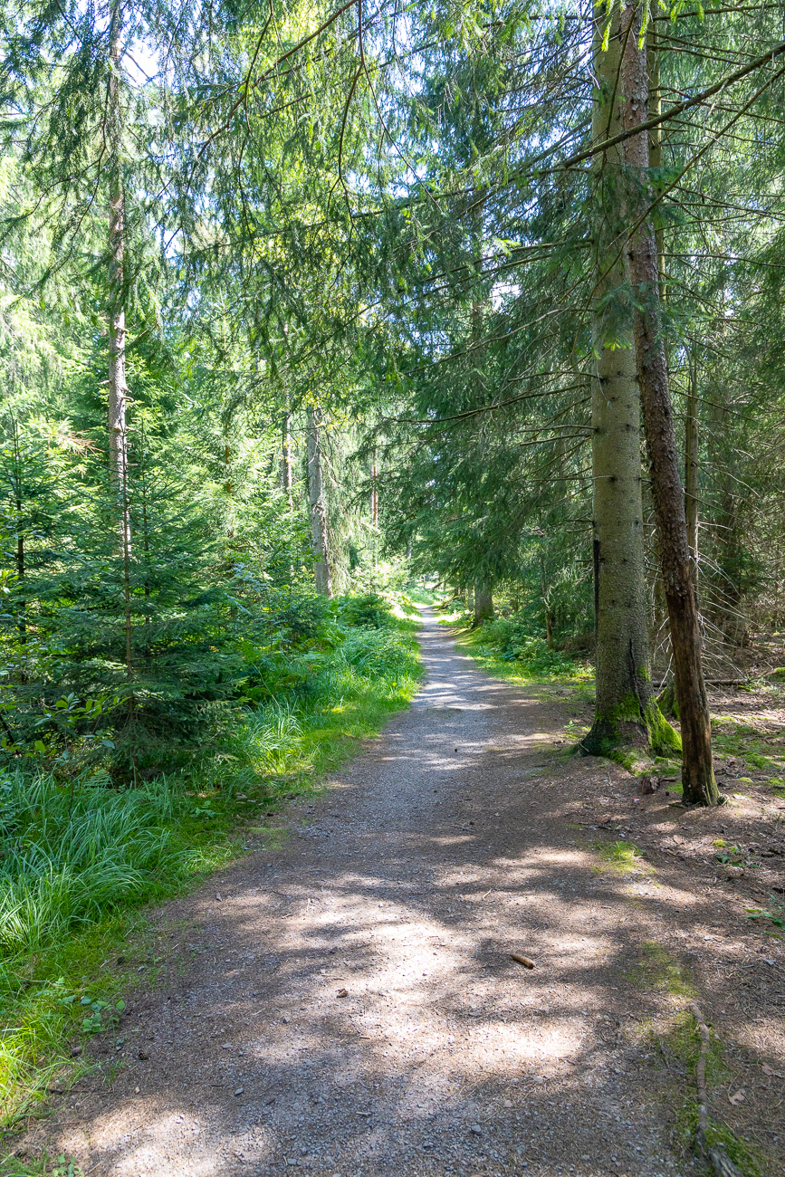 ... bevor wir die Zielgerade zum Parkplatz erreichen