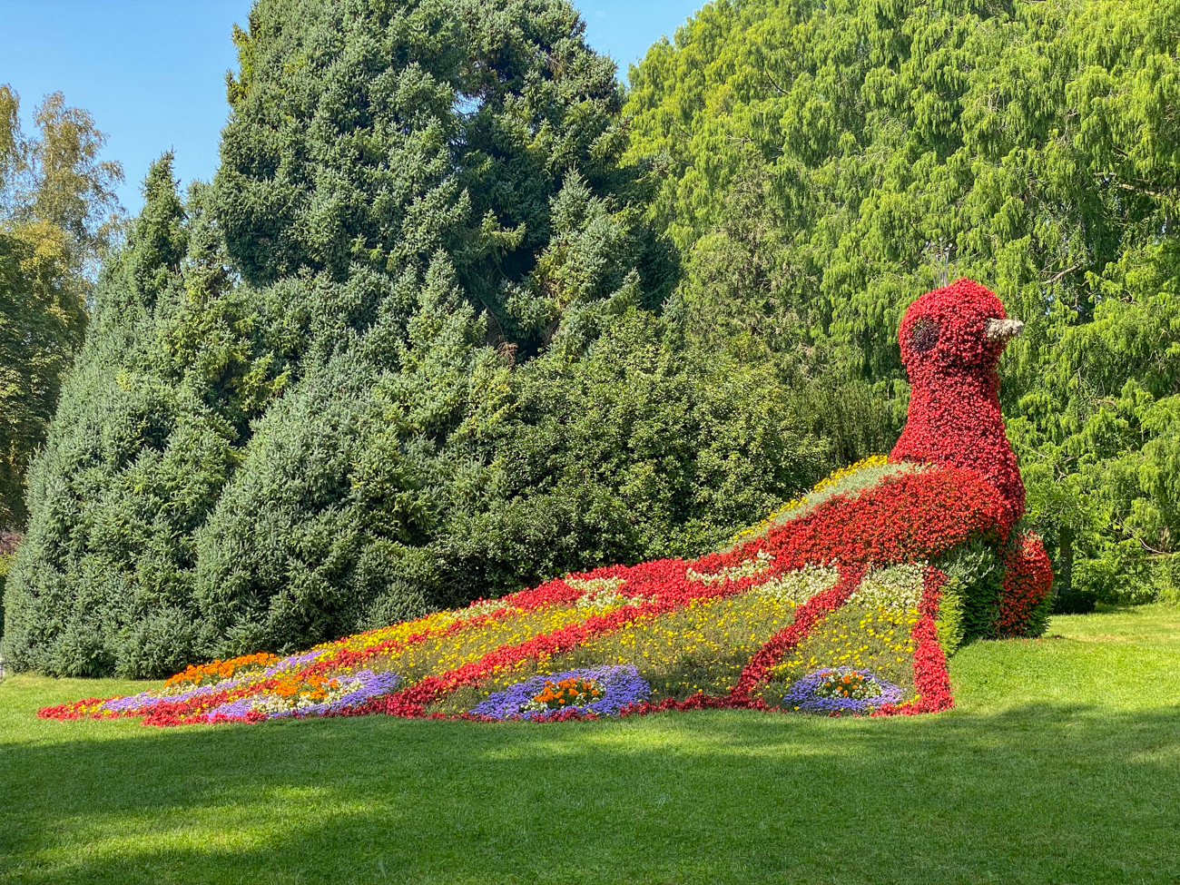 Ein Pfau aus lauter Blumen und Blüten modelliert