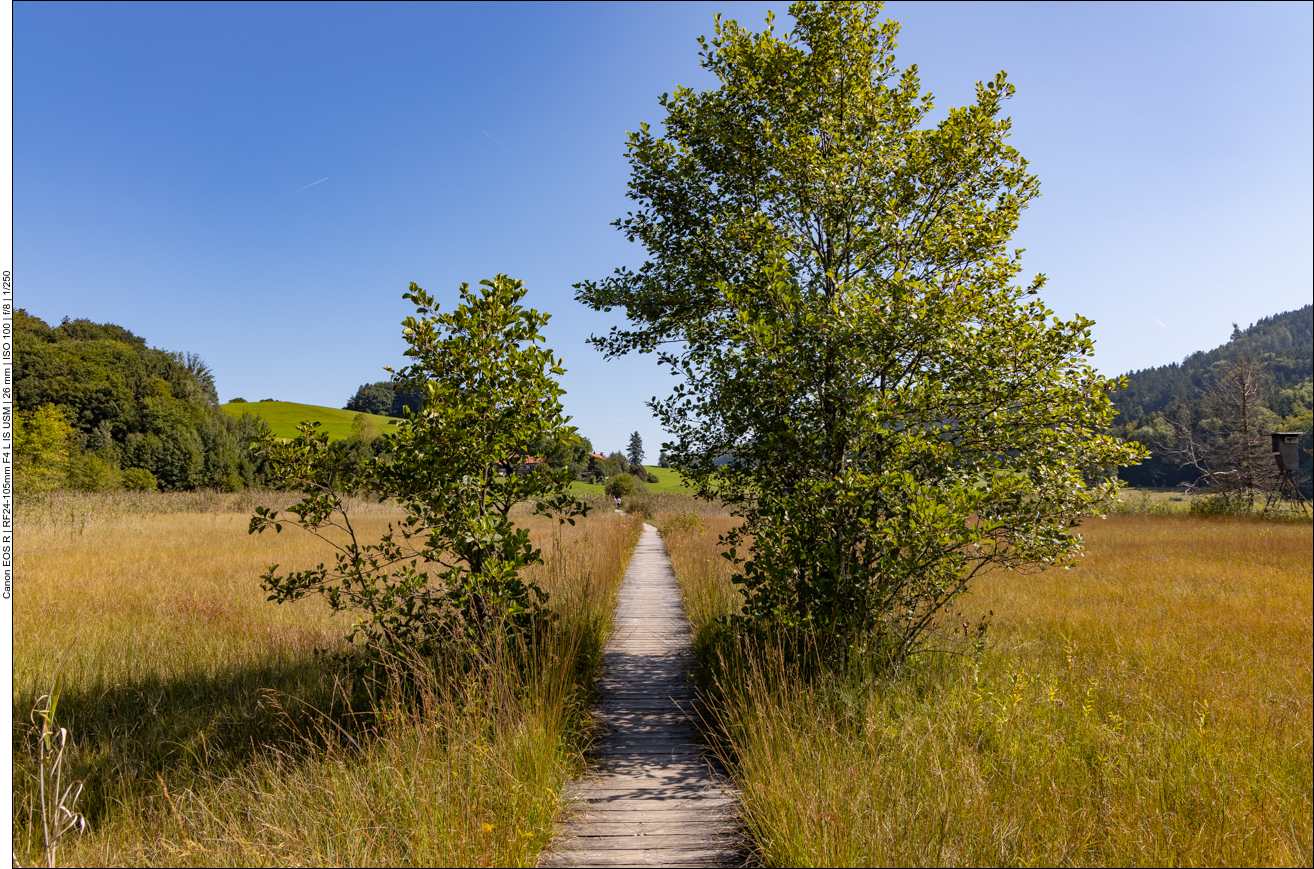 Bohlenweg durch das Feuchtgebiet