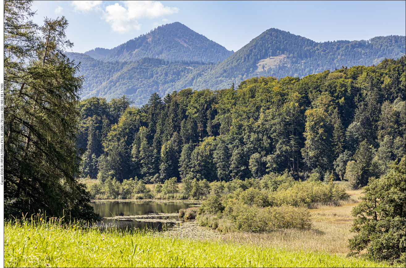 Ein Zipfel des Bärnsees, näher kommt man nicht heran