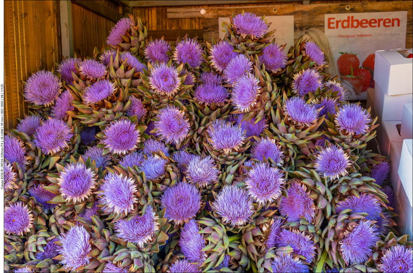 Das sind natürlich keine Erdbeeren, sondern Artischocken ;-)