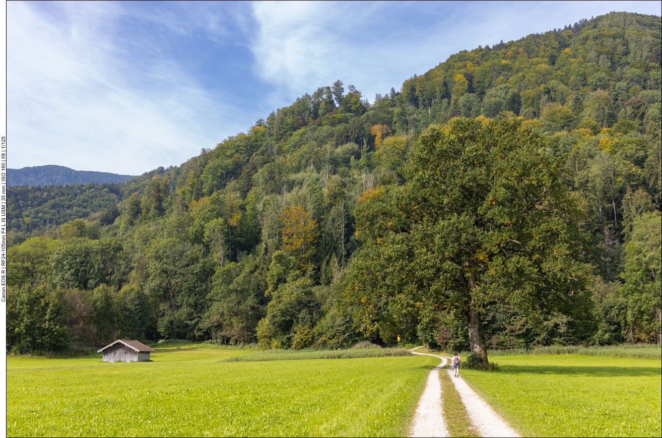 ... begleiten den Weg