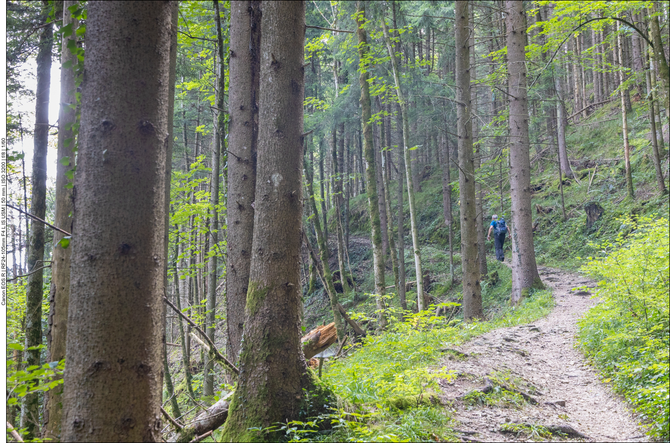 Ein schmaler Weg führt zum Aussichtspunkt Chiemseeblick