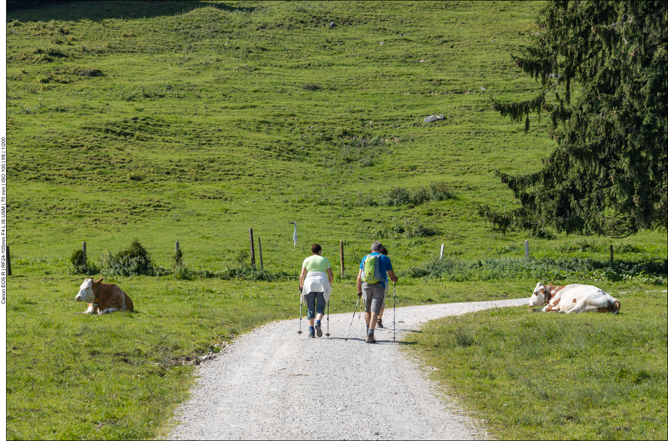 Wir sind nicht die einzigen Wanderer